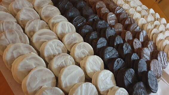 תרזה אלפחורס // צילום: יחצ